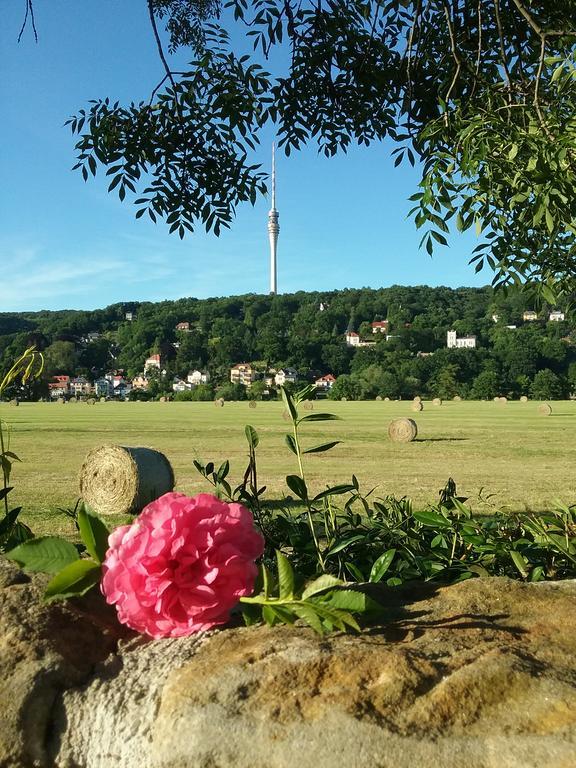 Готель Alttolkewitzer Ferien- & Privatzimmer Mrosk Дрезден Екстер'єр фото